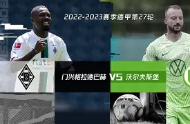 关于沃尔夫斯堡主帅公开表态，力争本赛季取得佳绩的信息